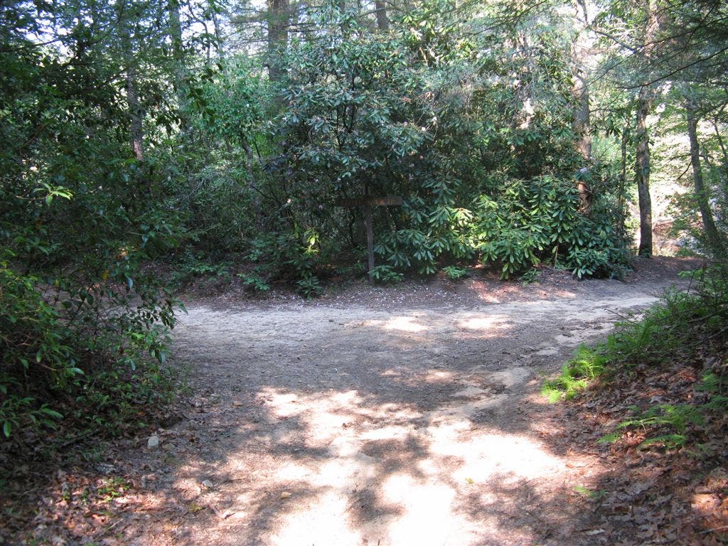 Little River Trail Intersection None