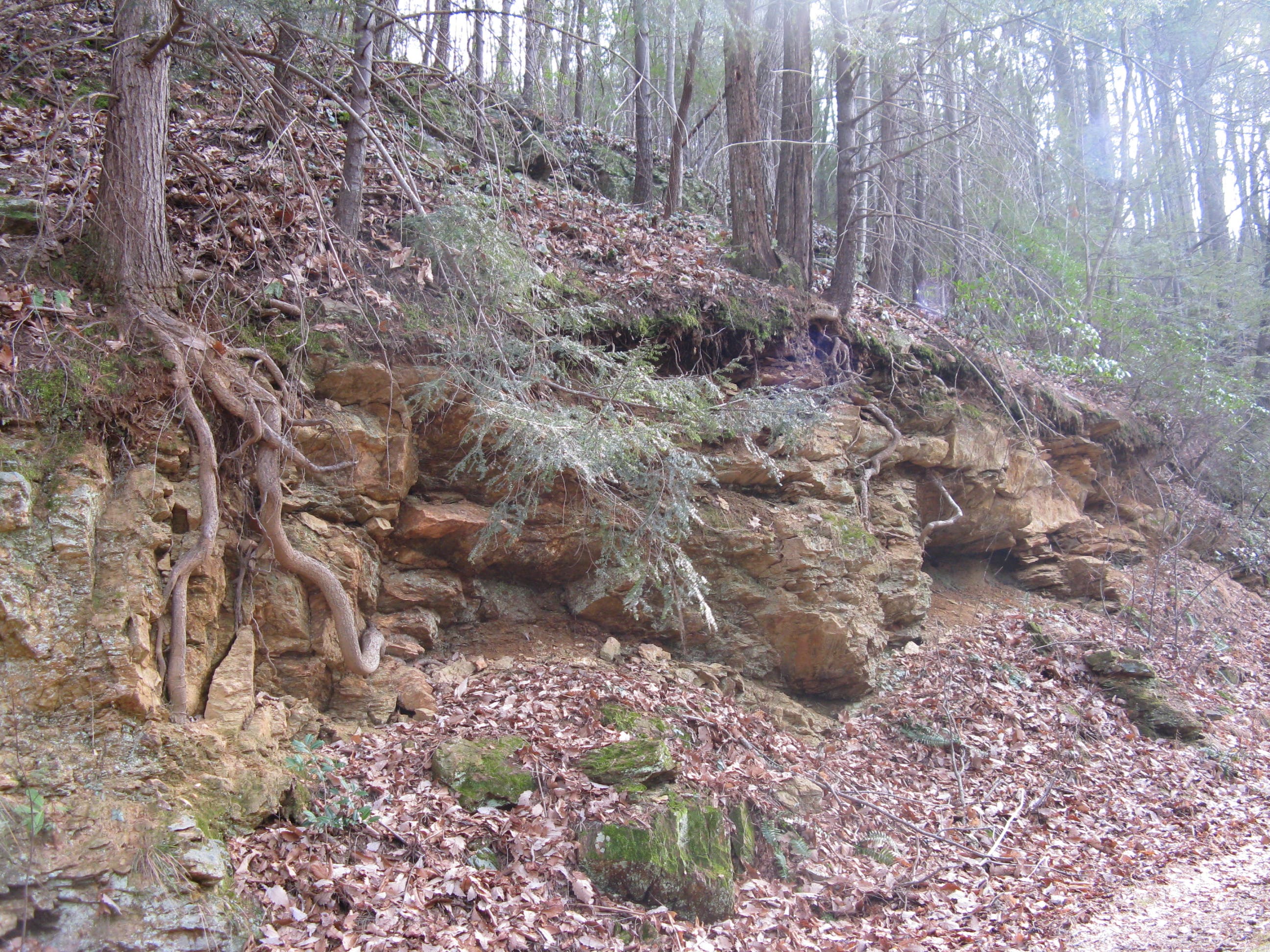 Little River Trail None