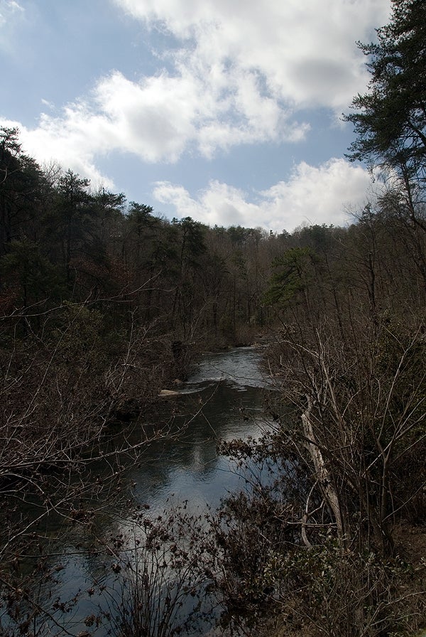 A view of Little River along the hike to Desoto Falls. Little River with trees on either side.