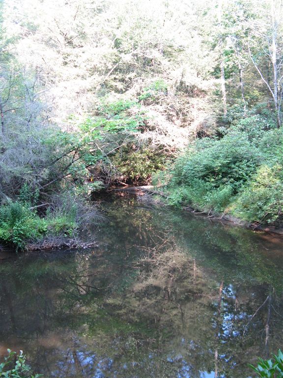 Little River None