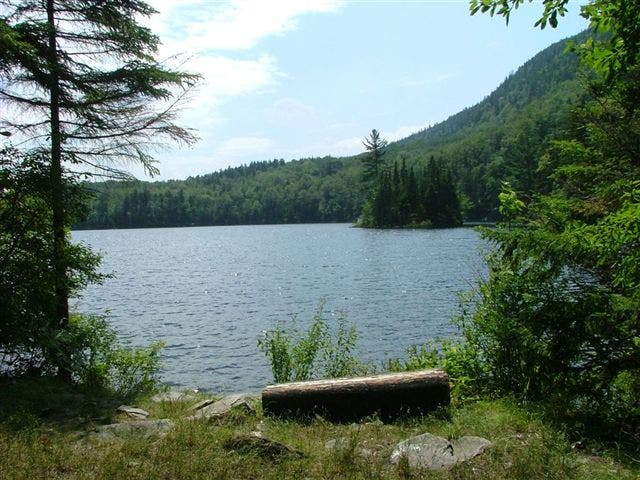 Little Rock Pond None