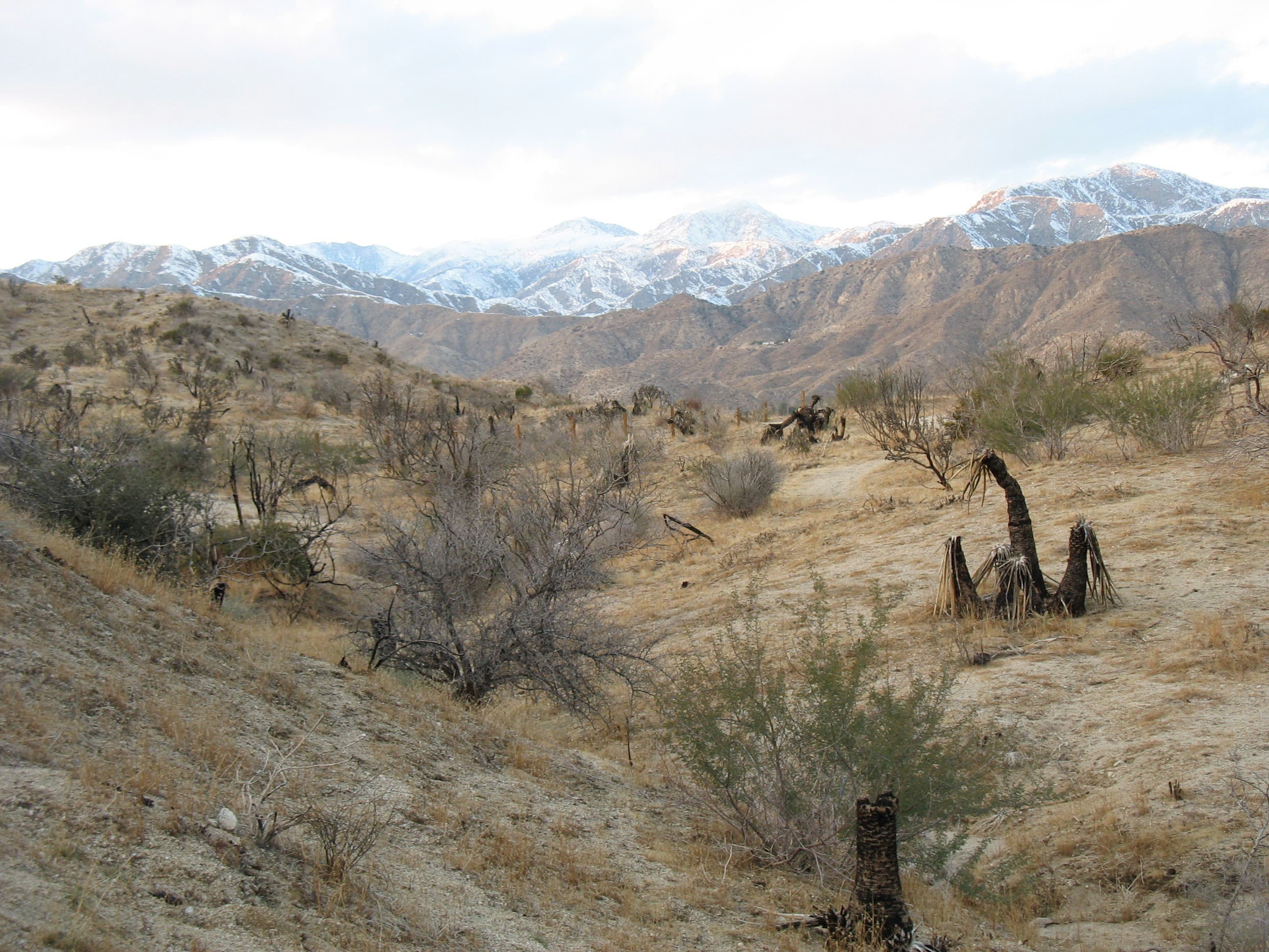 Little San Bernadino Mountains None