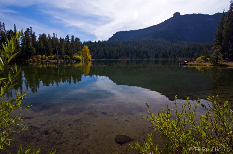 Little Three Creek None