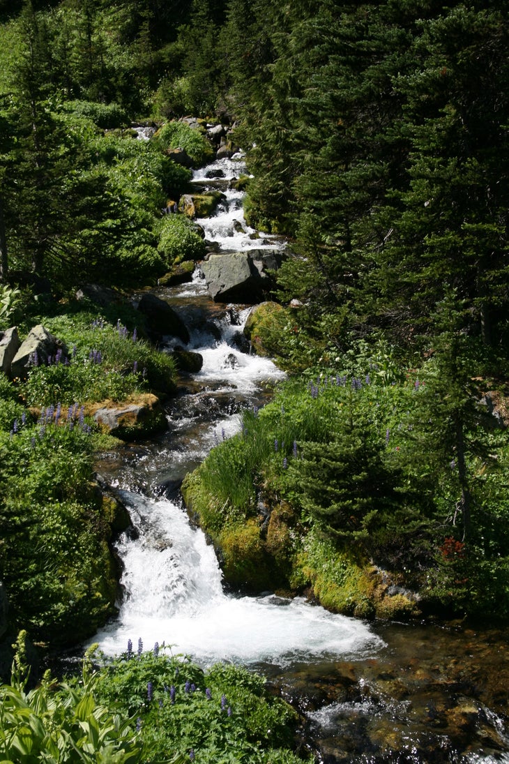 Mount Rainier National Park: Northern Loop Trail via Sunrise Park