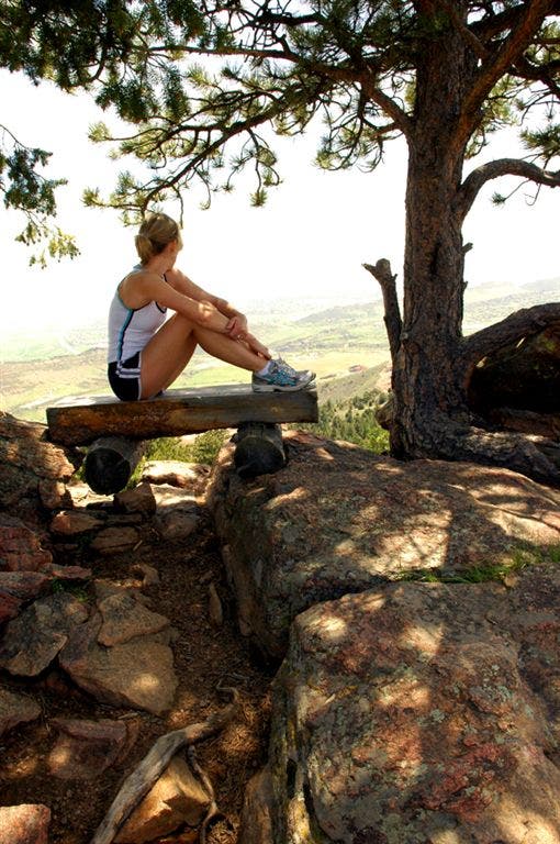 Log Bench Overlook None