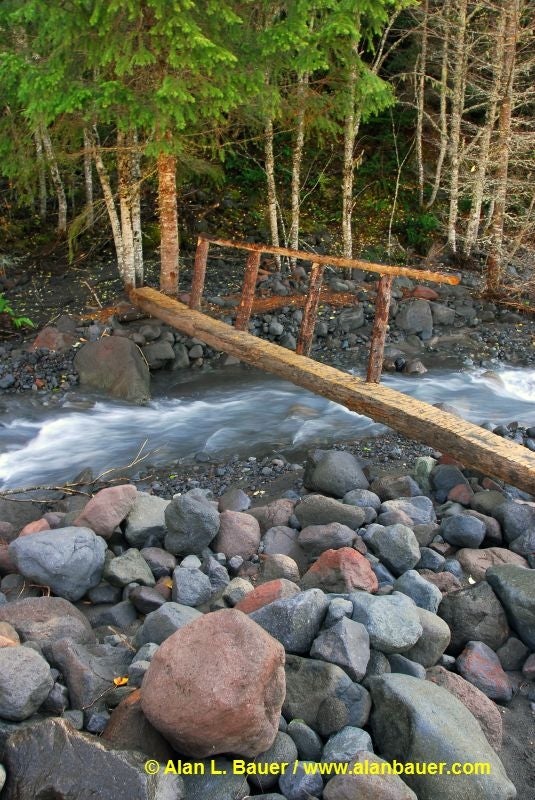 Log Bridge None
