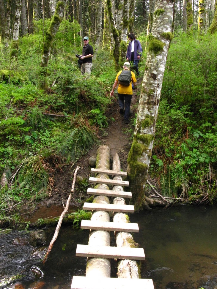 Log bridge None