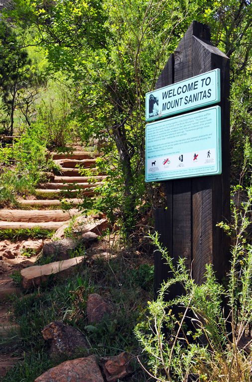 Log Steps None