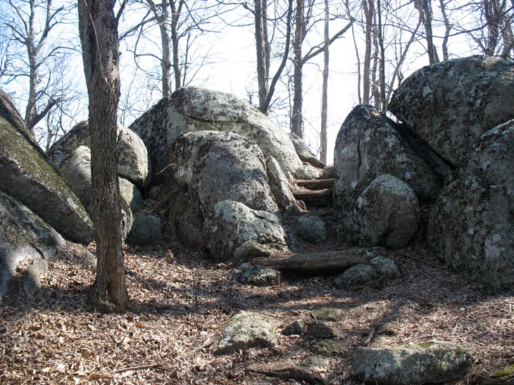 Log Steps None
