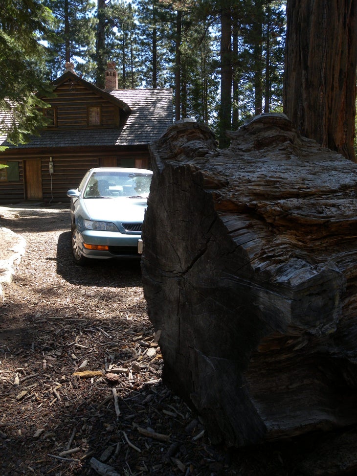 Log None