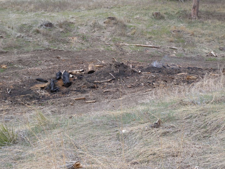 Logging Debris None