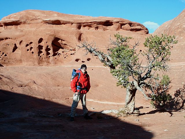 Lone juniper None