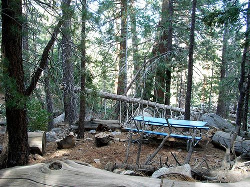 Lone Picnic Table None