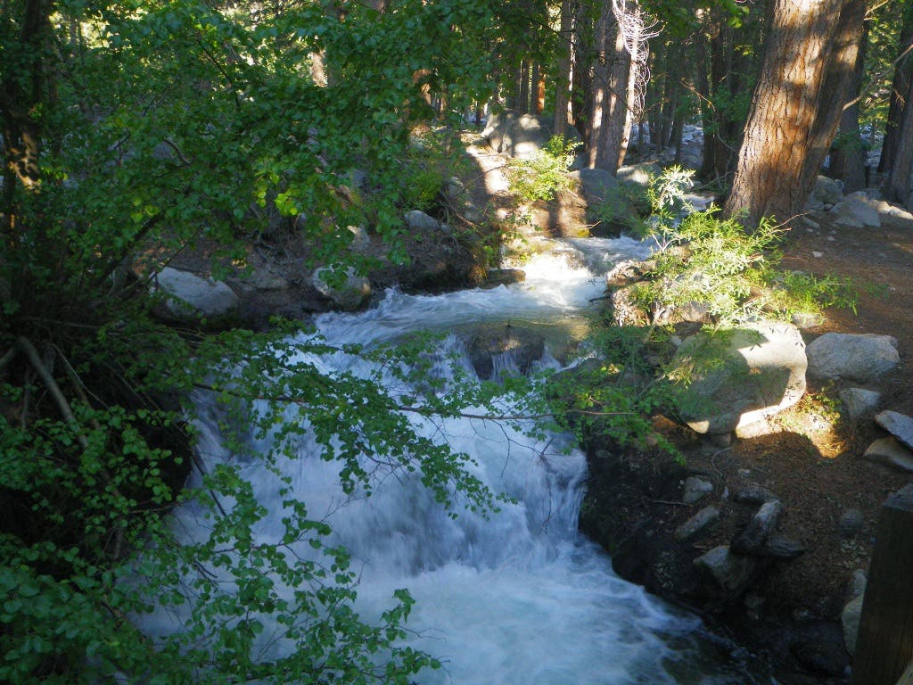 Lone Pine Creek None