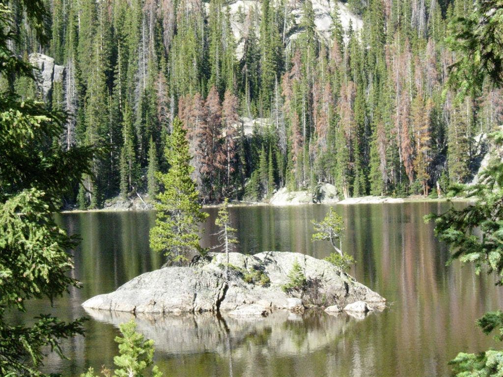 Lone Pine Island None