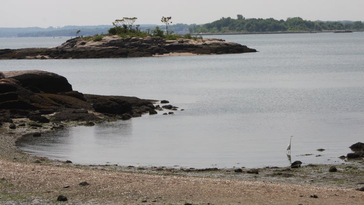 Long Island Sound None