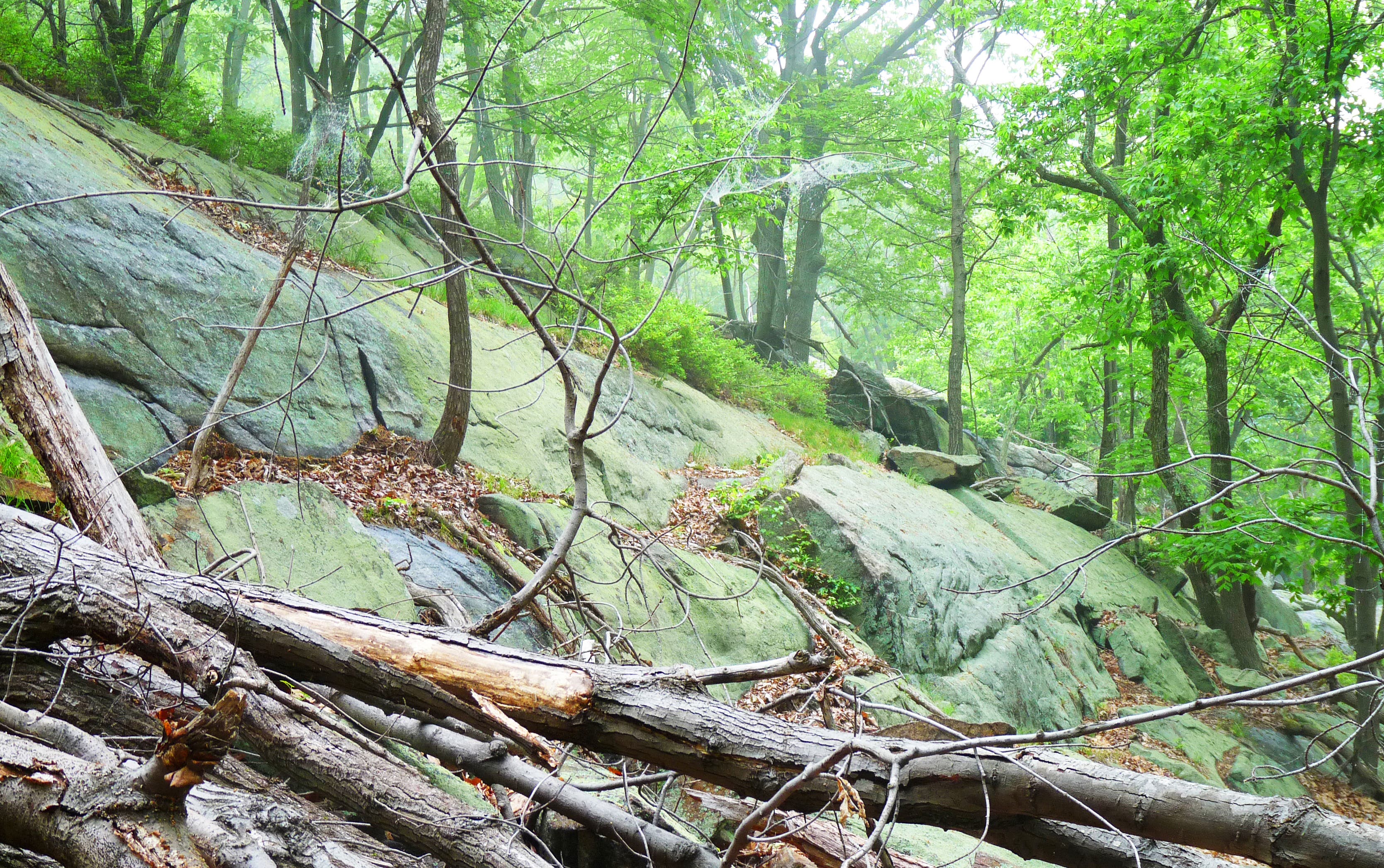 Long Outcropping None