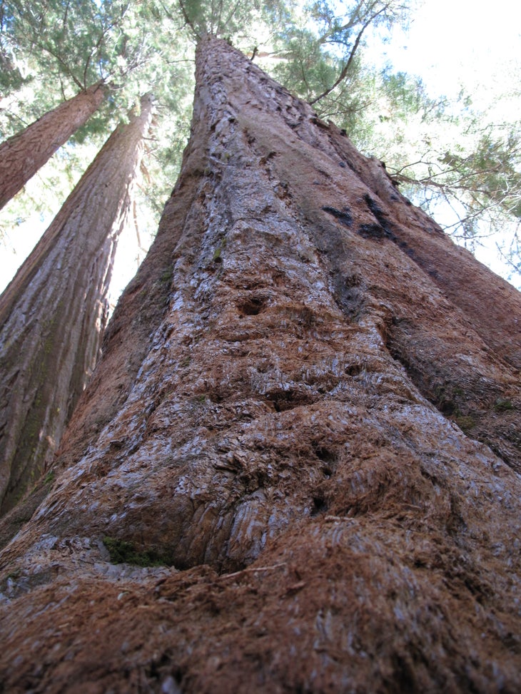 Long Way Up None