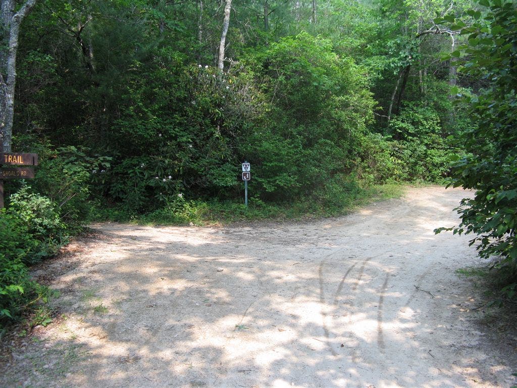 Longside Trail Junction None