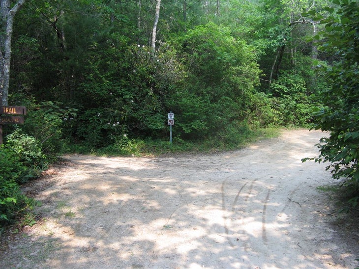 Longside Trail Junction None