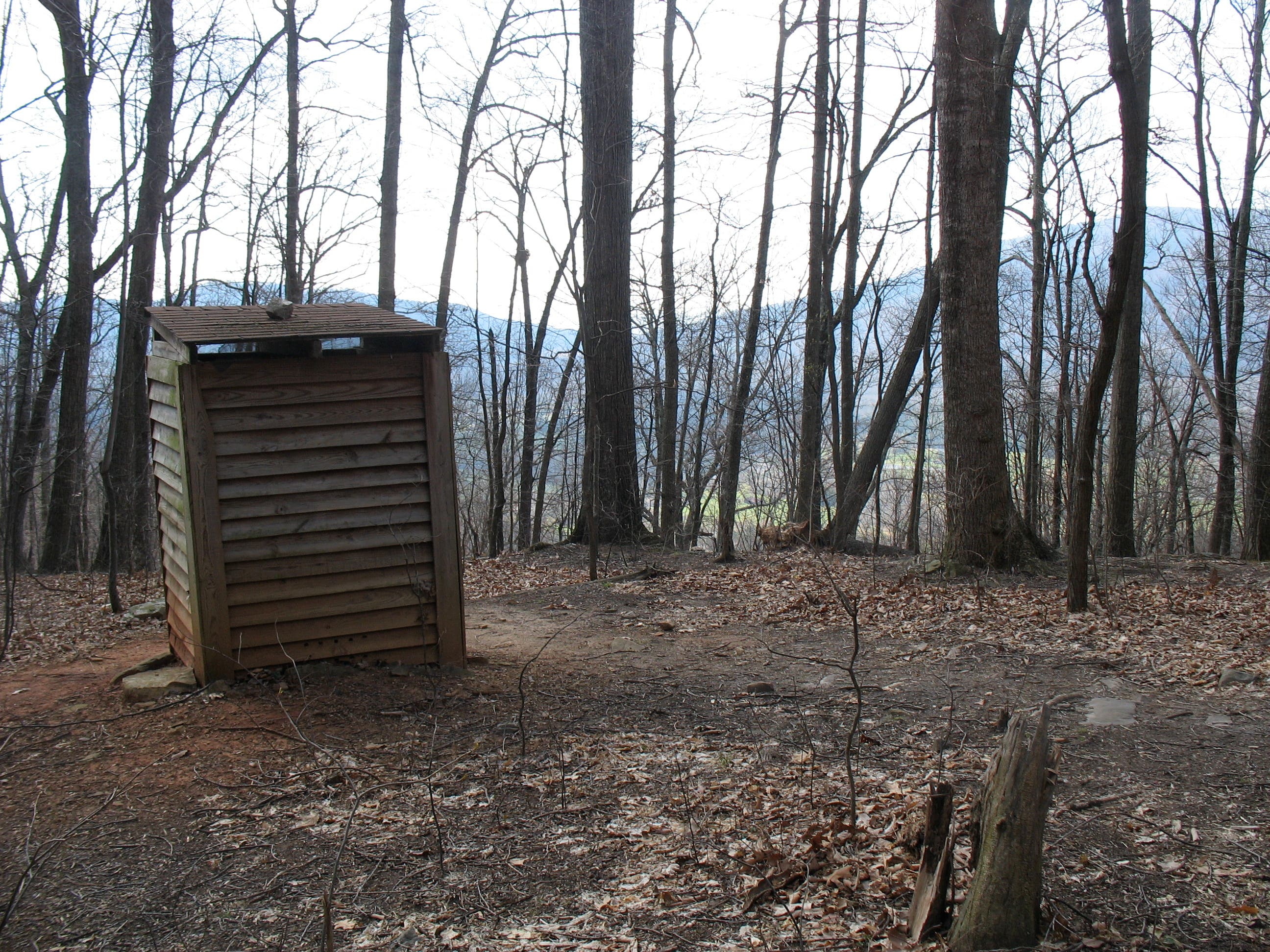 Loo with a View None