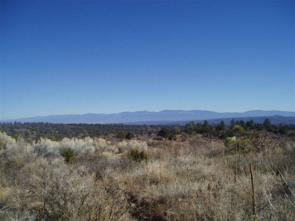 Looking at the Pecos from the Mesa Trail None