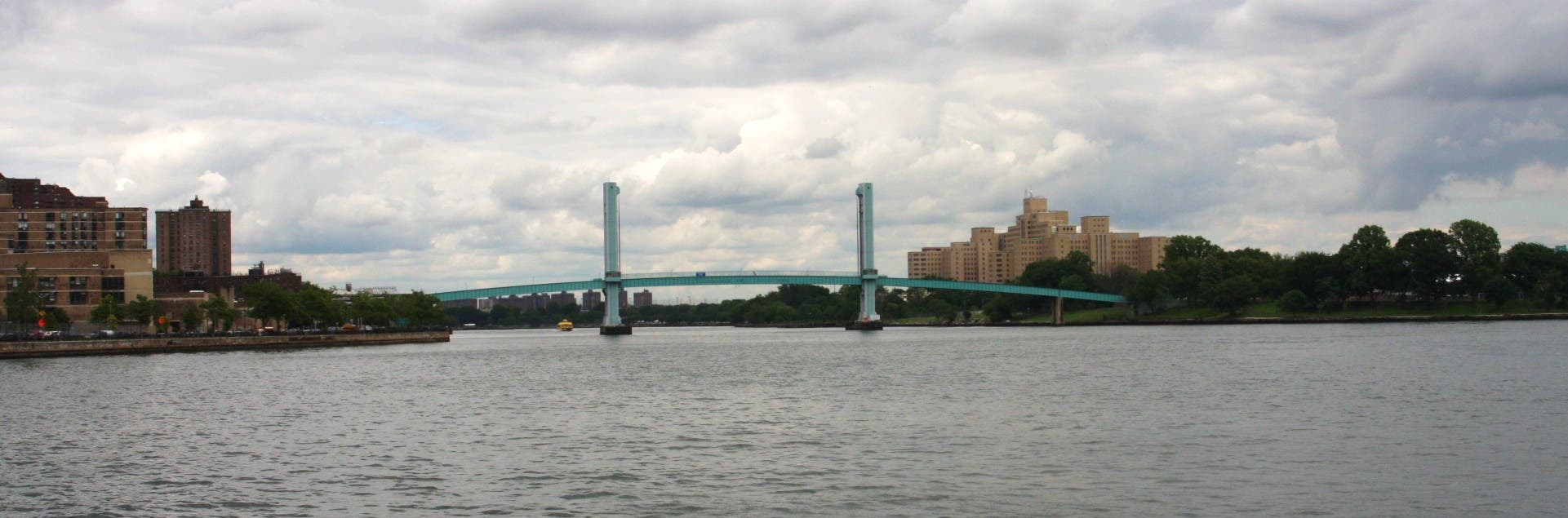 Looking at Ward's None