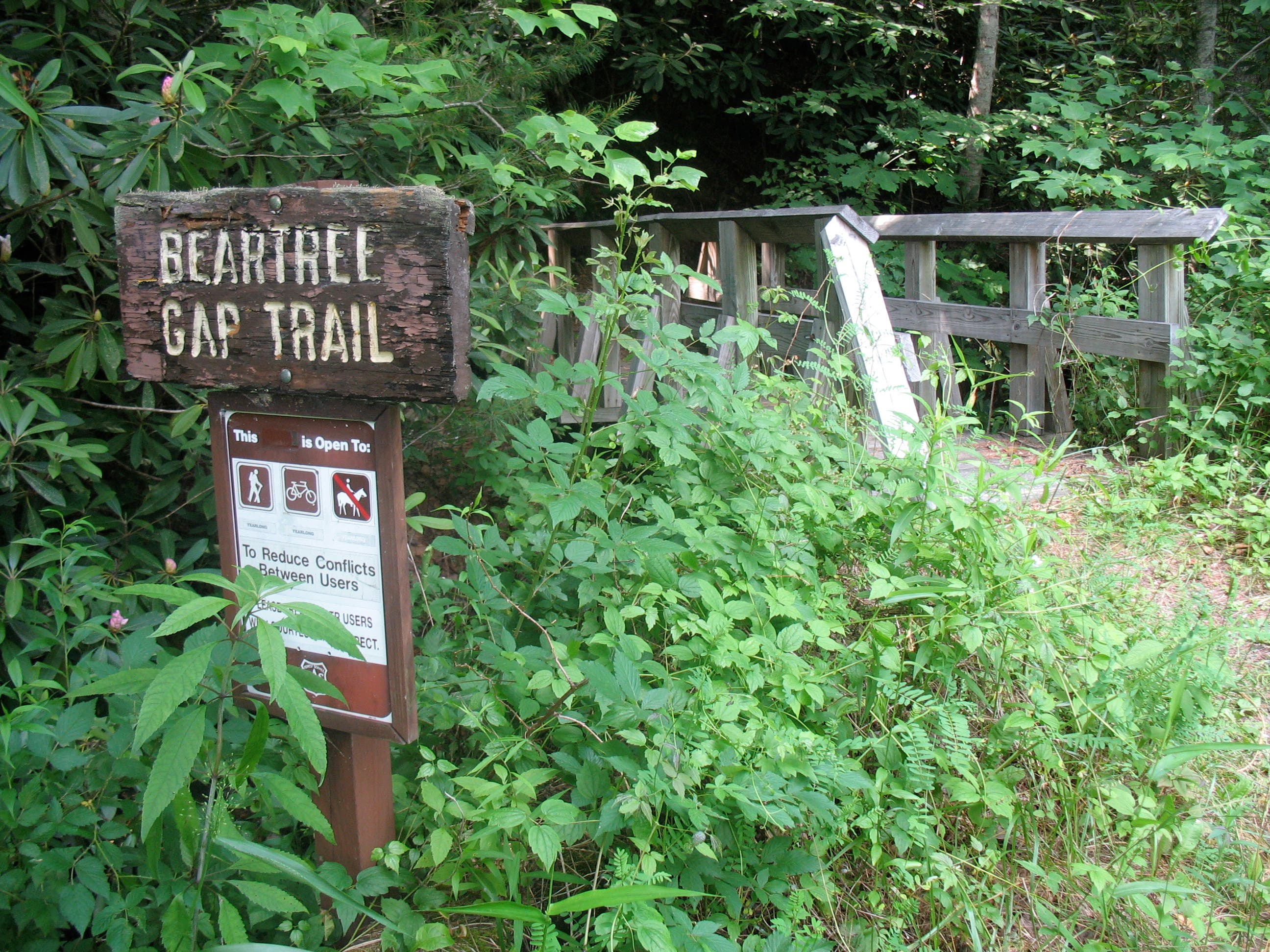 Looking Back at Footbridge None