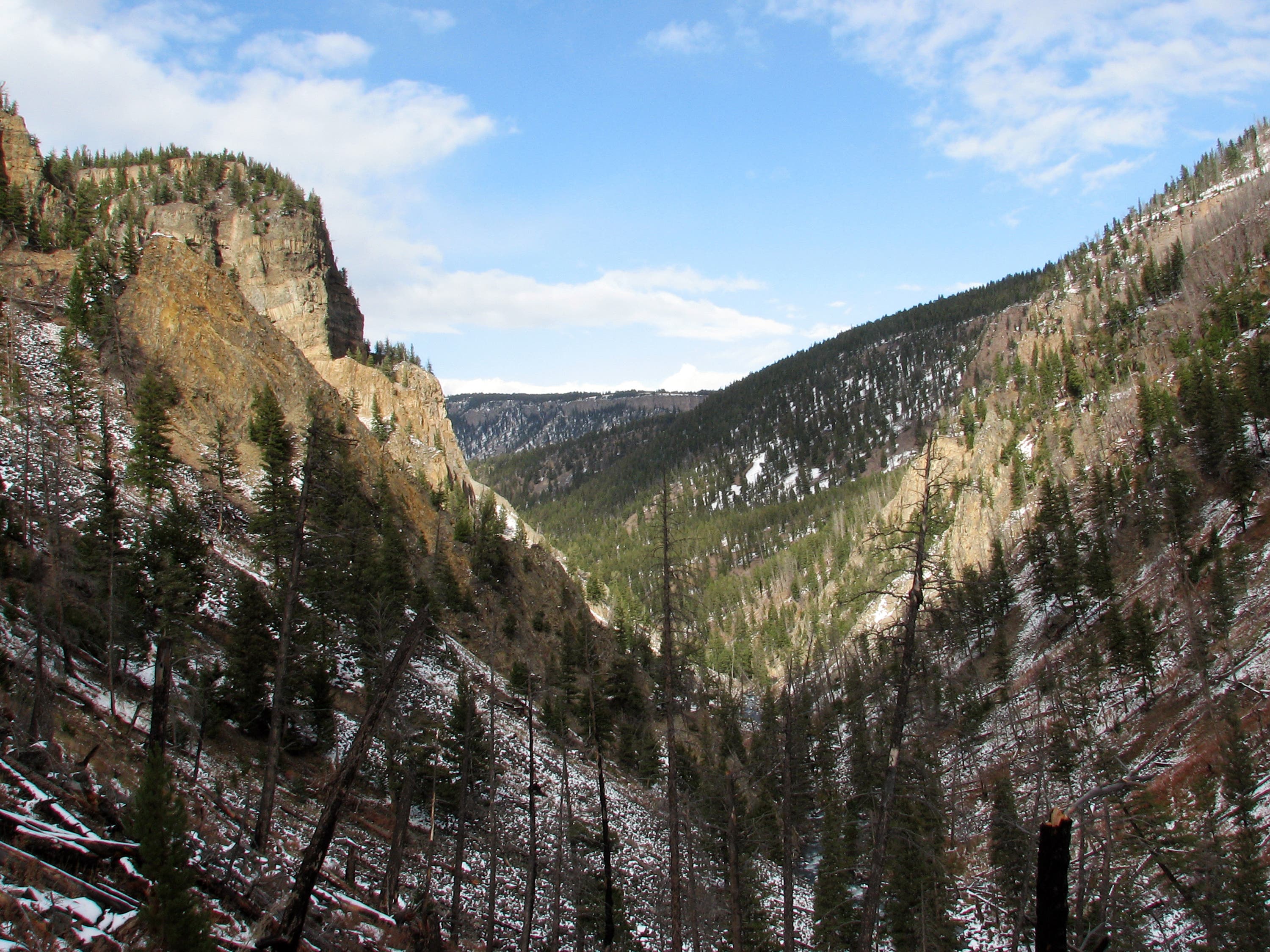 Looking North Through Sheepeater Canyon None