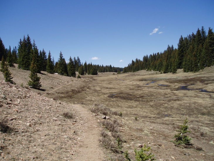 Looking North None