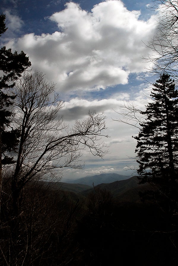 Looking Northwest from Laurel Gap None