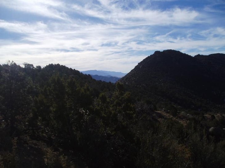 Looking South None