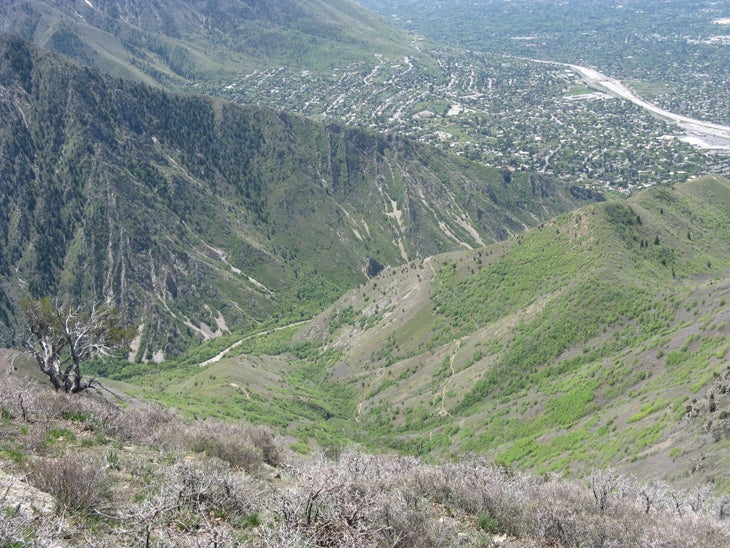 Looking South None