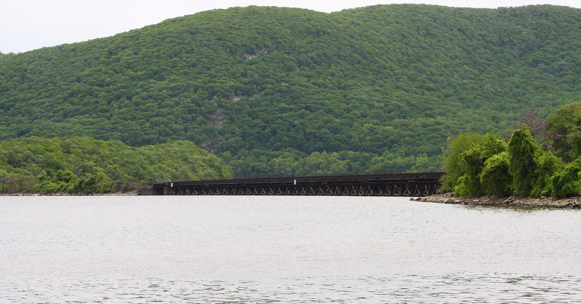 Looking south from the dock None