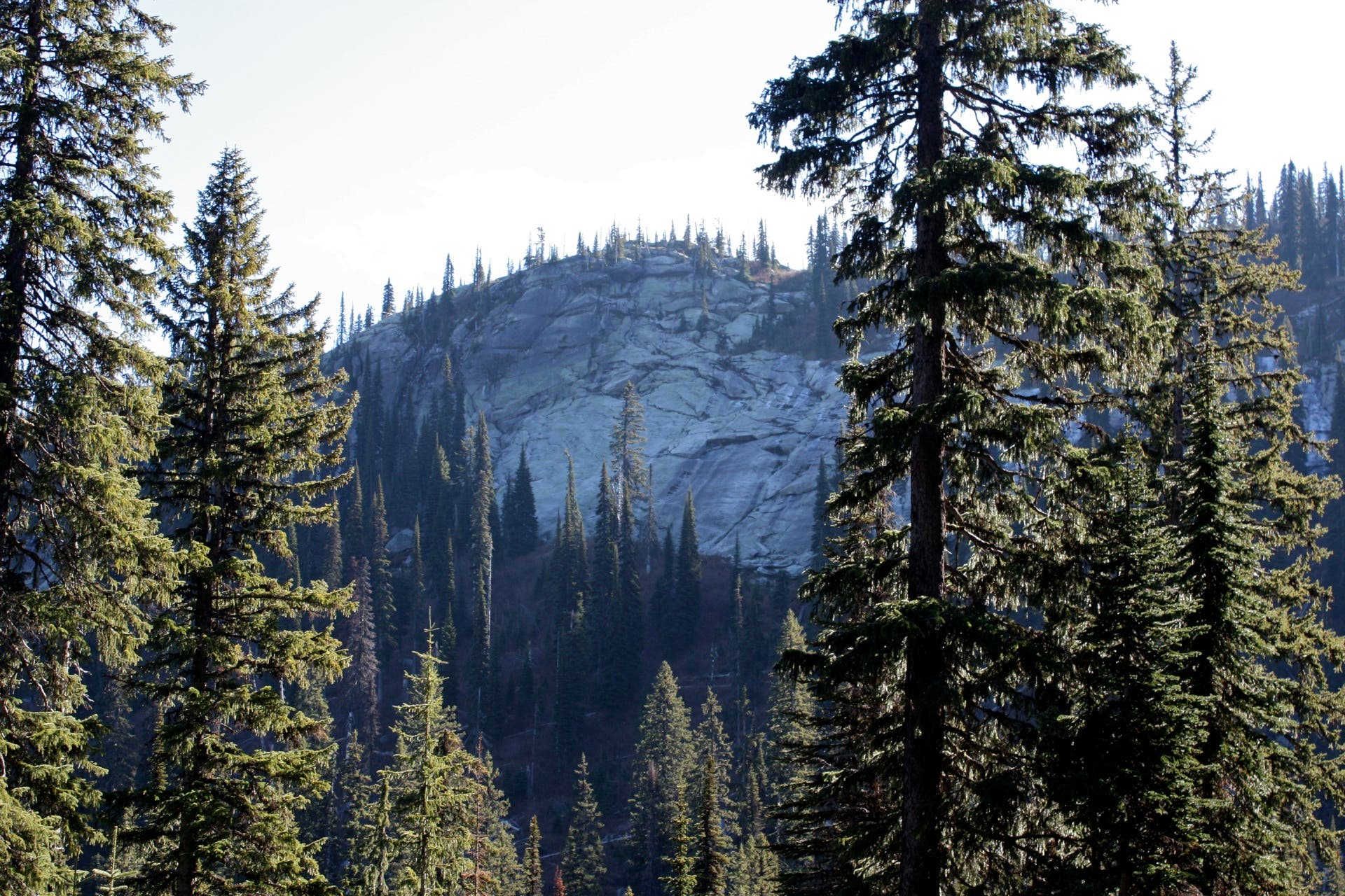 Looking South: Selkirk Crest None
