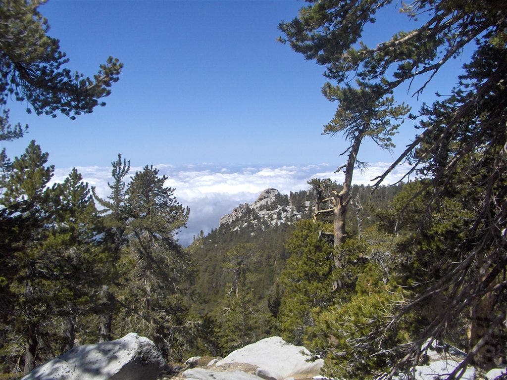 Looking west towards the Pacific None