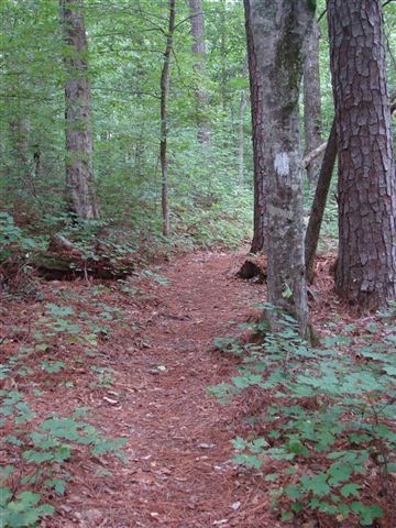 Loop Trail None