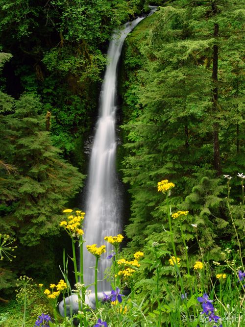 Loowit Falls None