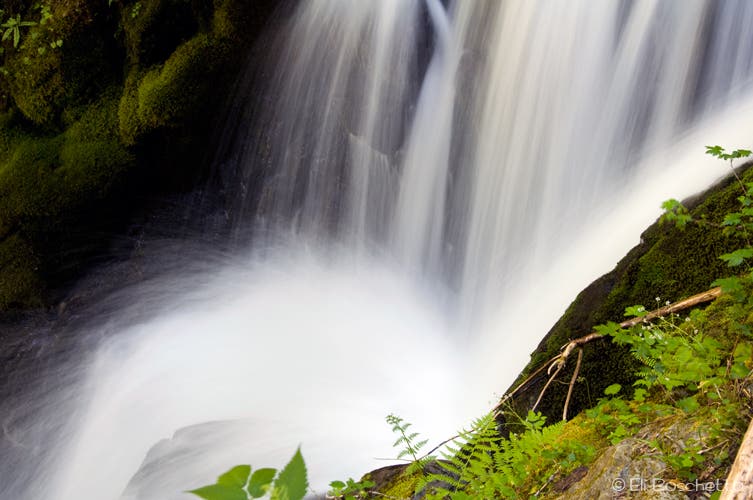 Lost Creek Falls None