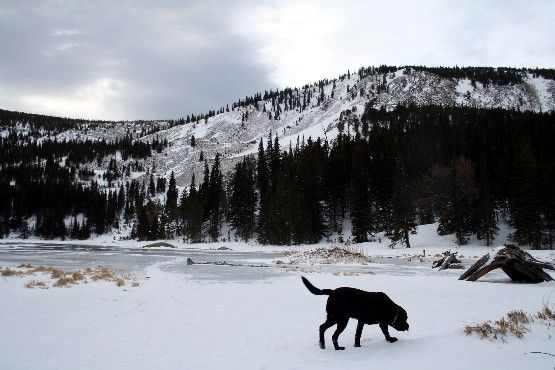 Lost Lake None