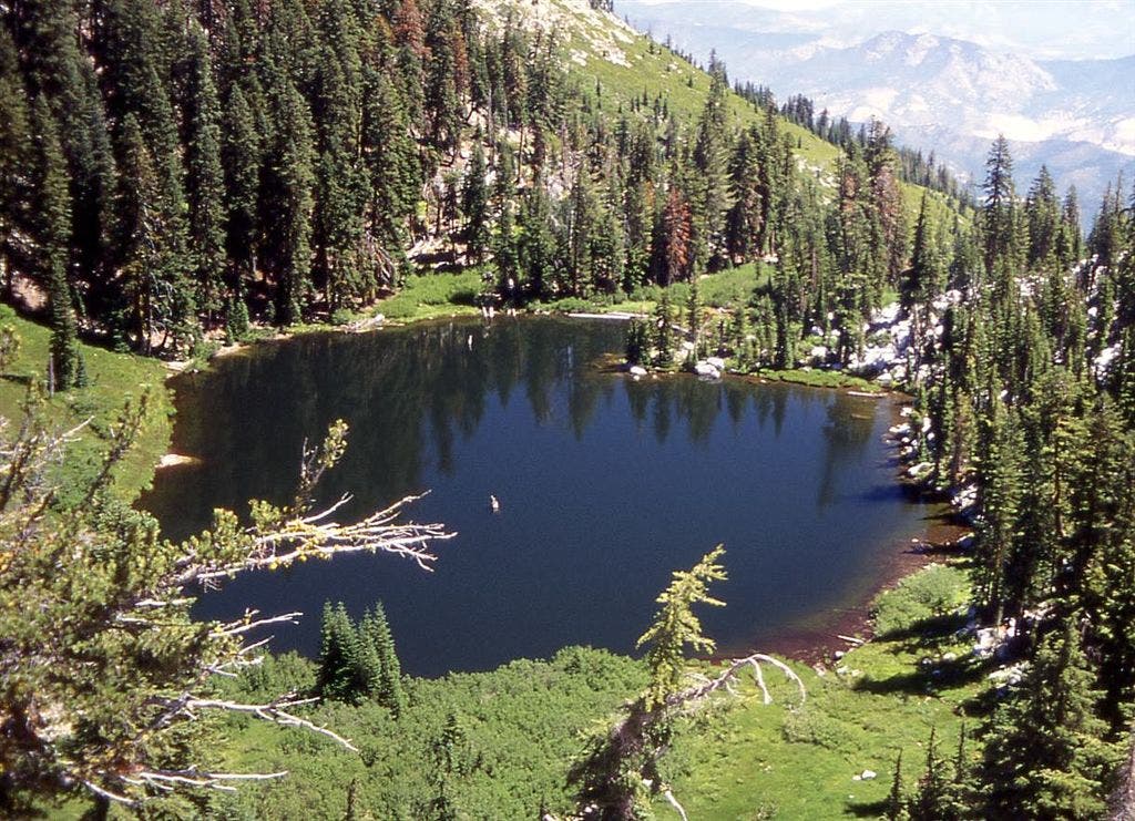 Lower Albert Lake None