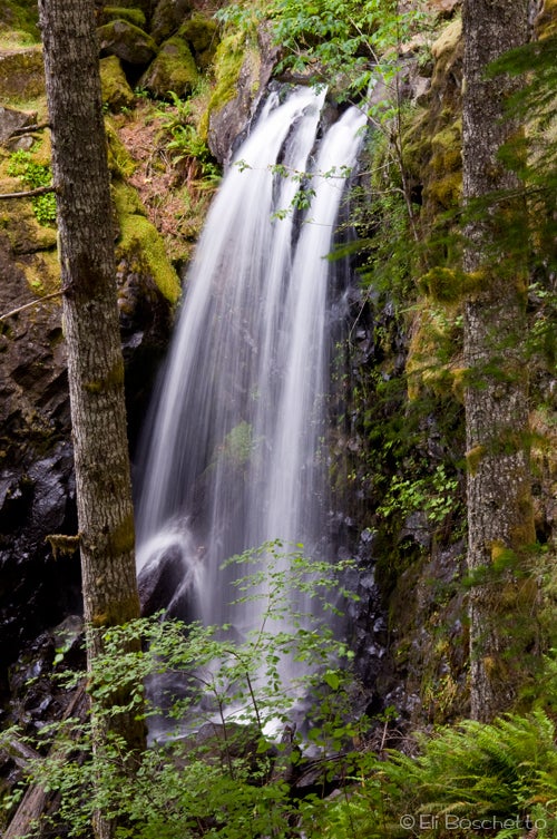 Lower Falls None