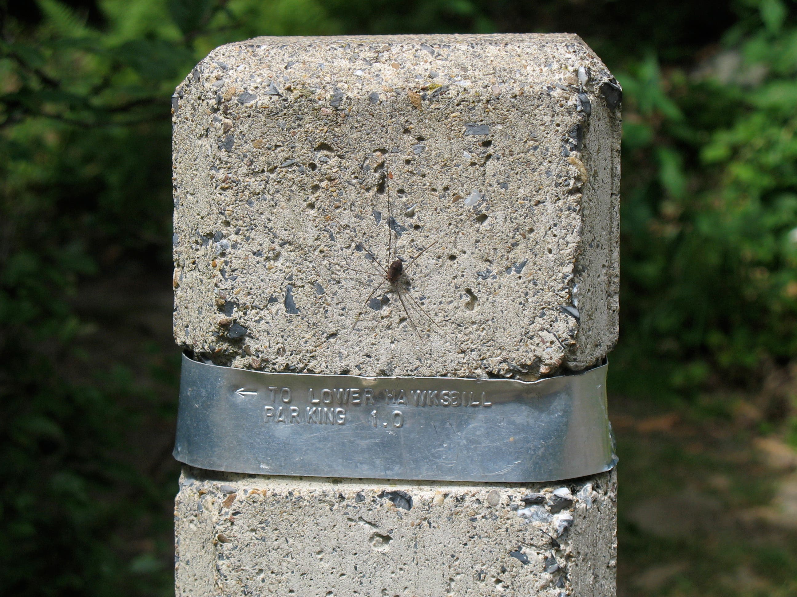 Lower Hawksbill Trail Marker None