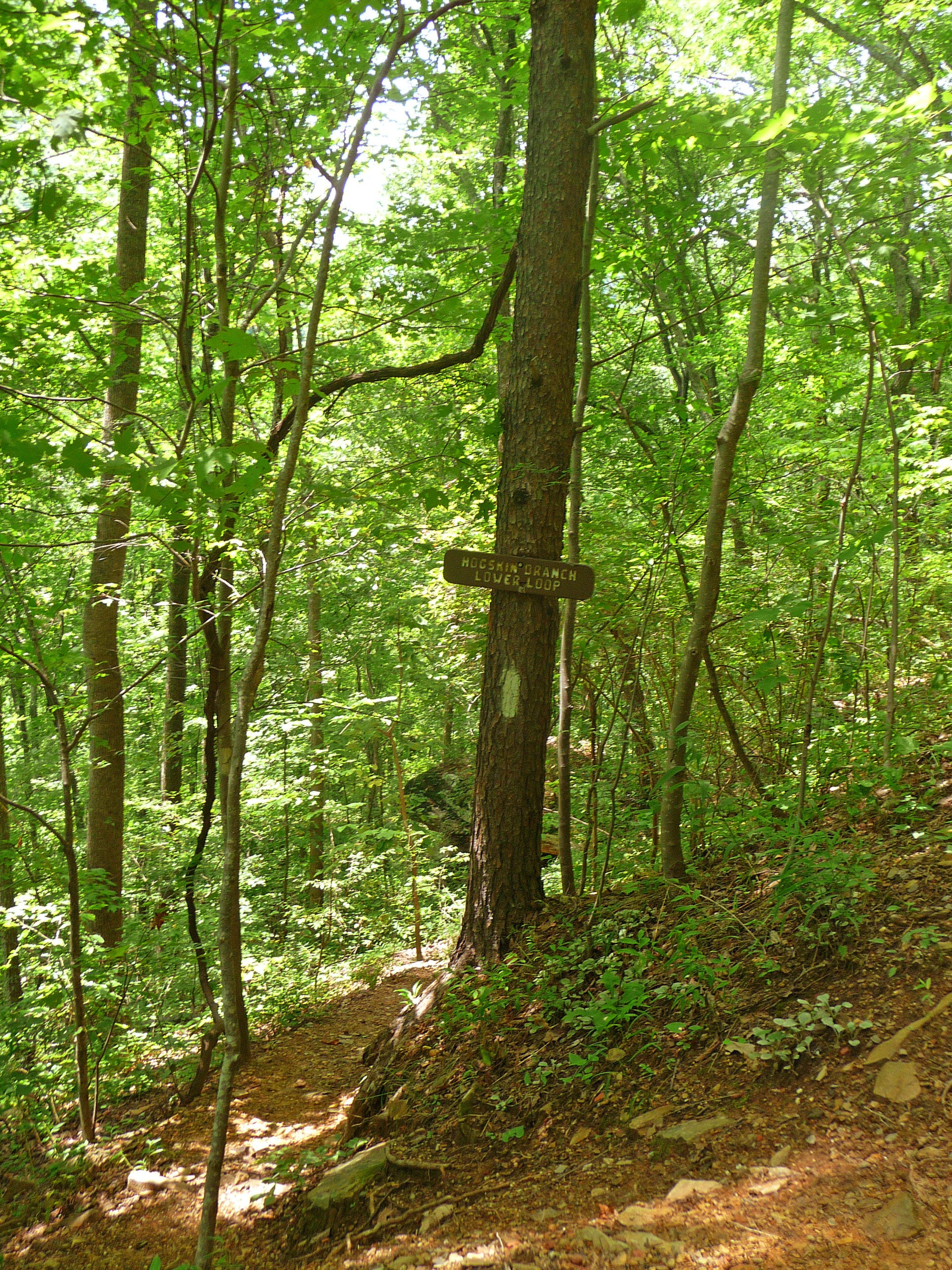 Lower loop intersects main trail None
