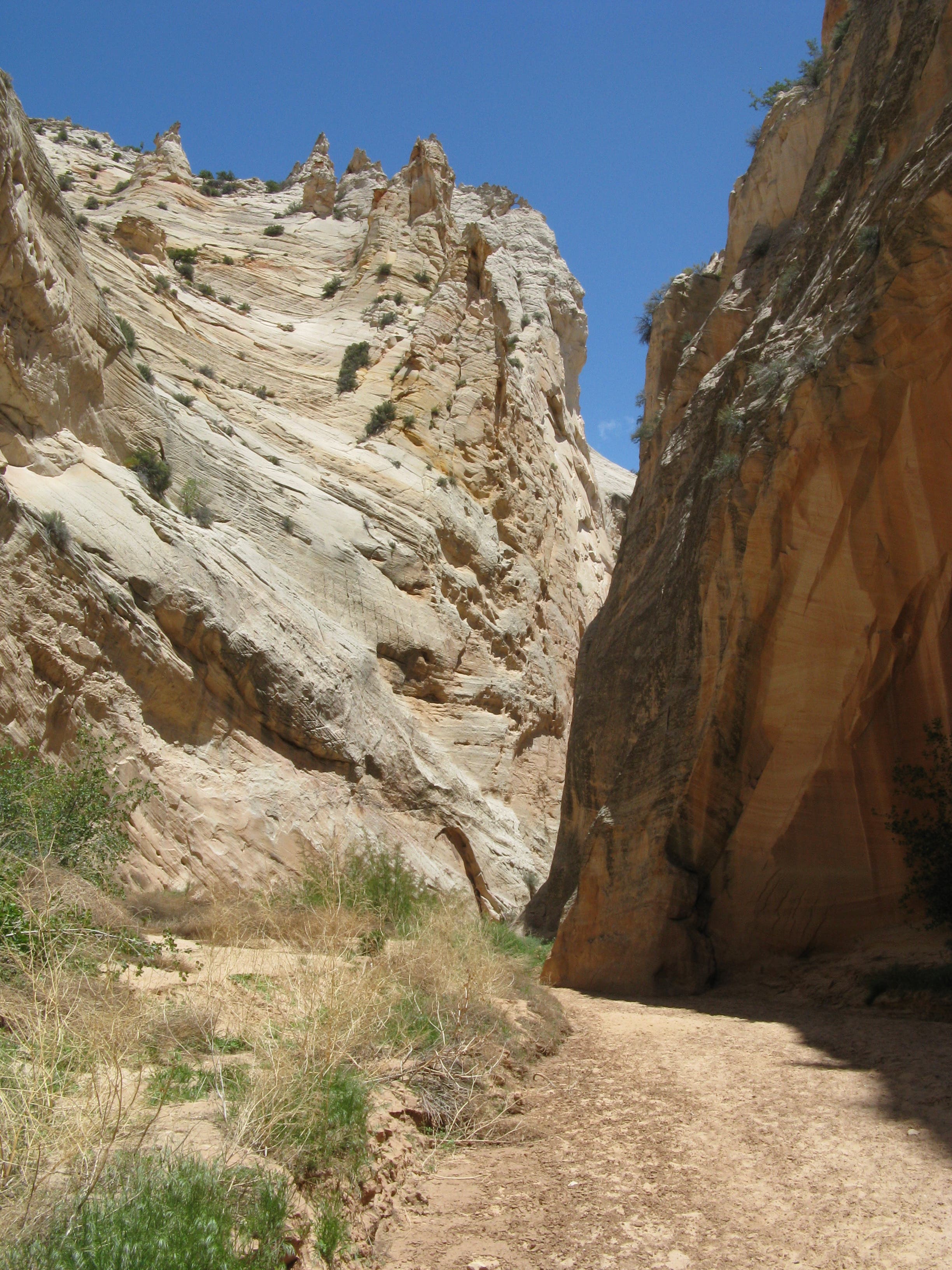 Lower Narrows View None