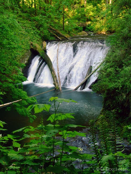 Lower North Falls None