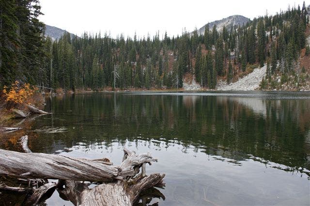 Lower Roman Nose Lake None