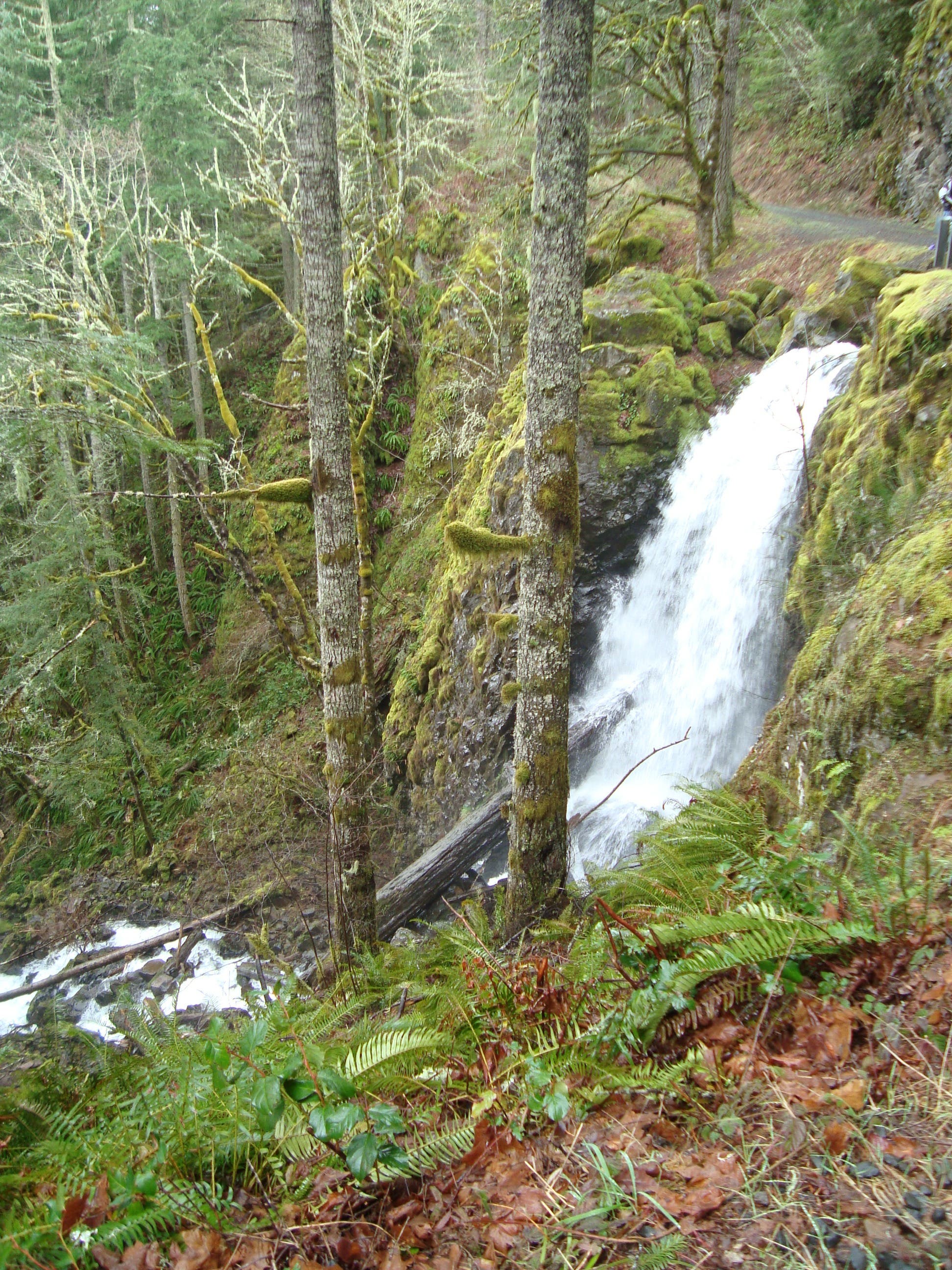 Lower Shellburg Falls None