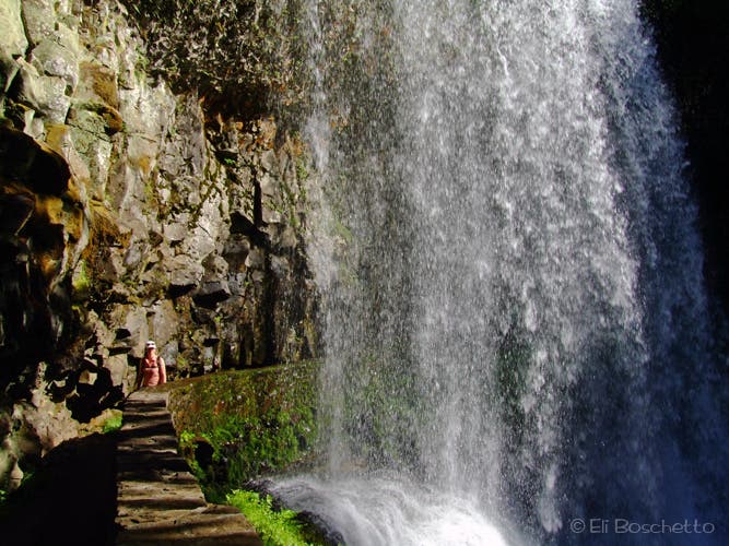 Lower South Falls None