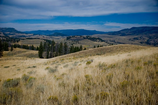 Lower Specimen Ridge None